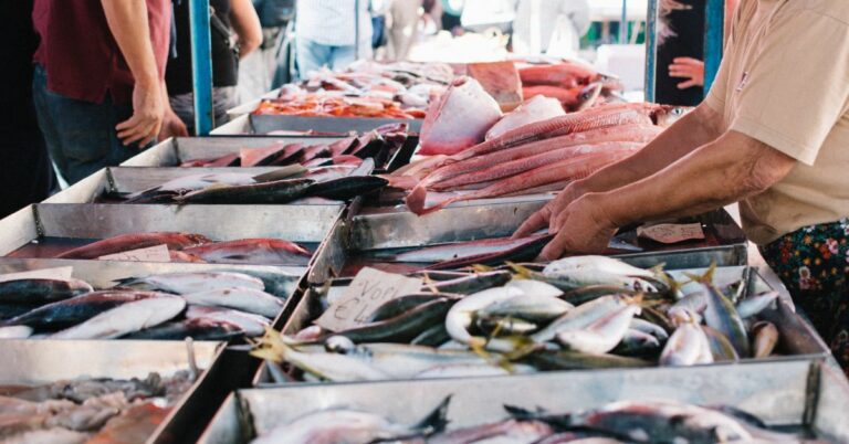 LezrApp solves problems related to chicken/meat/fish shop